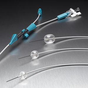 stone extraction catheter / biliary / balloon
