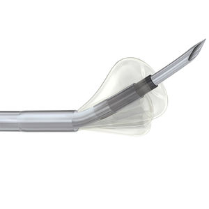 access catheter / subintimal
