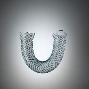 biliary stent / metal