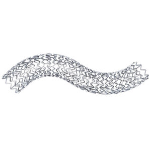 iliac artery stent / biliary