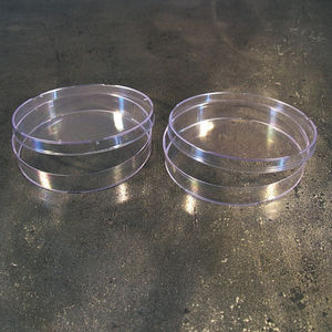 Petri dish