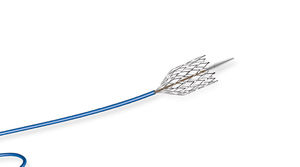 carotid stent / platinum / self-expanding