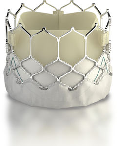 aortic valve bioprosthesis / bovine tissue / sutureless
