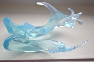 ventricular system model / for teaching / transparent