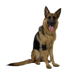 elbow protection veterinary joint protection