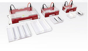 agarose gel electrophoresis system / compact