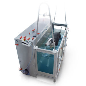 underwater veterinary treadmill / for dogs
