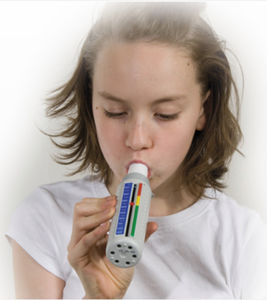 peak flow meter