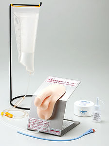 urinary catheterization simulator / male