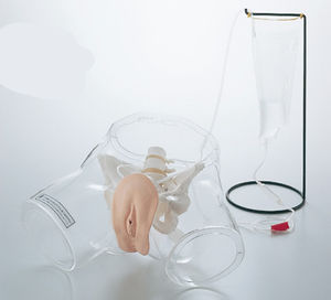 urinary catheterization simulator / female / pelvis