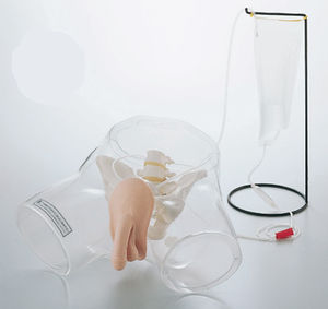 urinary catheterization simulator / male / pelvis