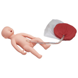 treatment training manikin / fetus