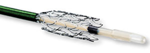 peripheral stent / self-expanding