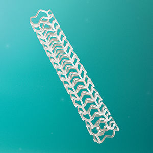 coronary stent / PLLA / bioresorbable