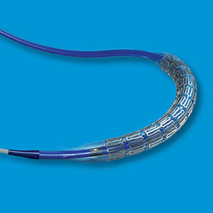 renal artery stent / cobalt-chromium
