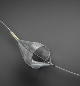 carotid embolic protection system