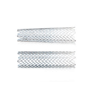 carotid stent / nitinol / self-expanding