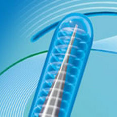 catheter guidewire / vascular / hydrophilic