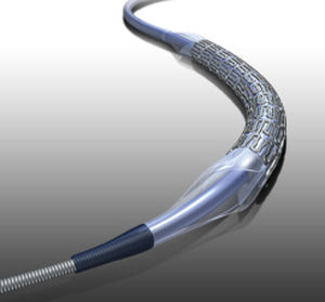 renal artery stent / cobalt-chromium