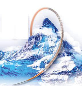 coronary stent / drug eluting