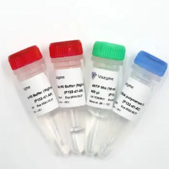 Enzyme Reagent Kit P132 Series Vazyme Medical Co Ltd DNA