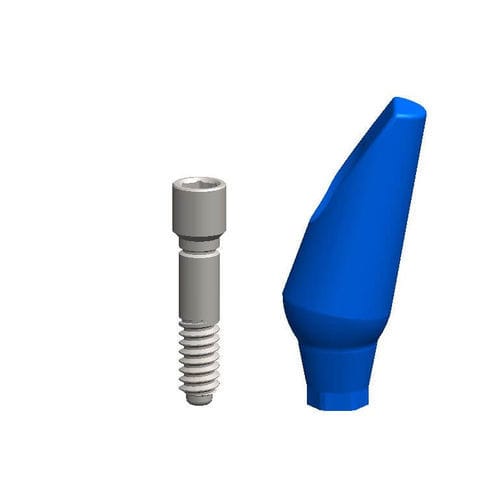 Titanium Implant Abutment Dental Evolutions Inc Internal