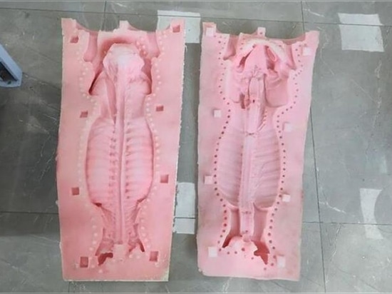 How To Make Soft Silicone Anatomical Model Zhengzhou Henan China