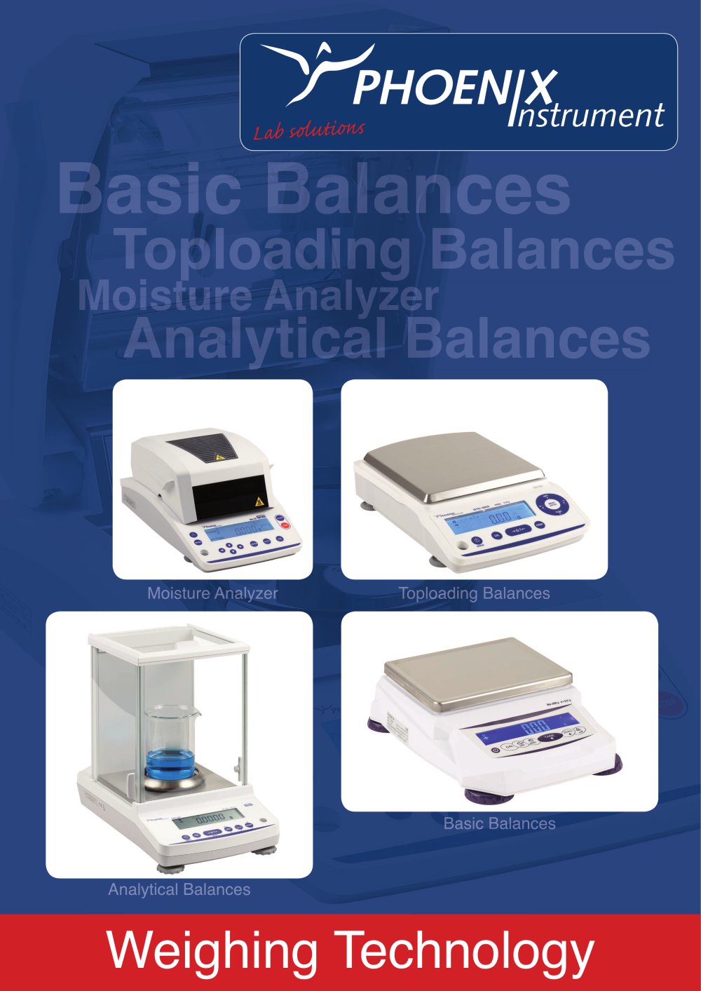 basic balances