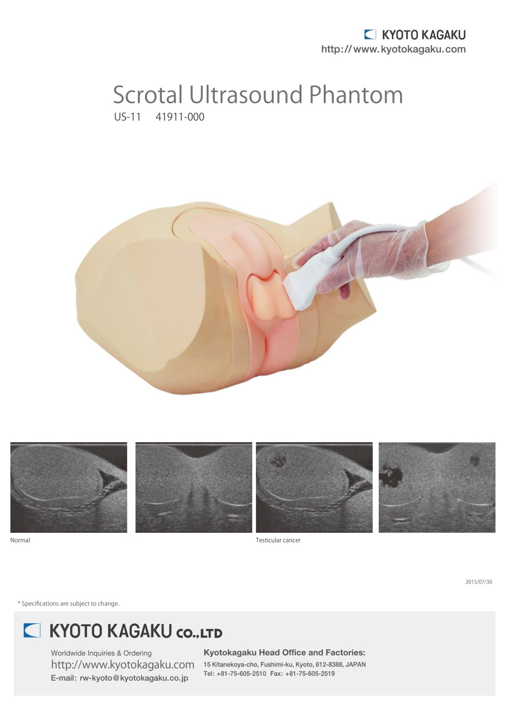 testicular ultrasound