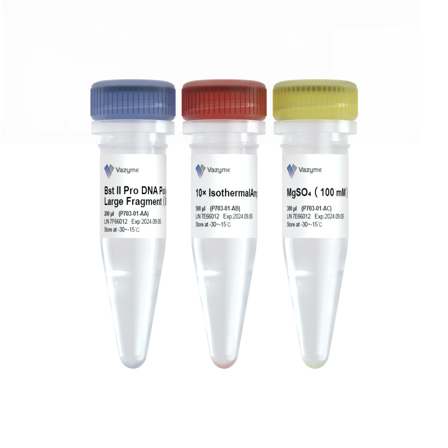 Kit De Reagentes DNA Polimerase Bst II Pro Vazyme Medical Co Ltd