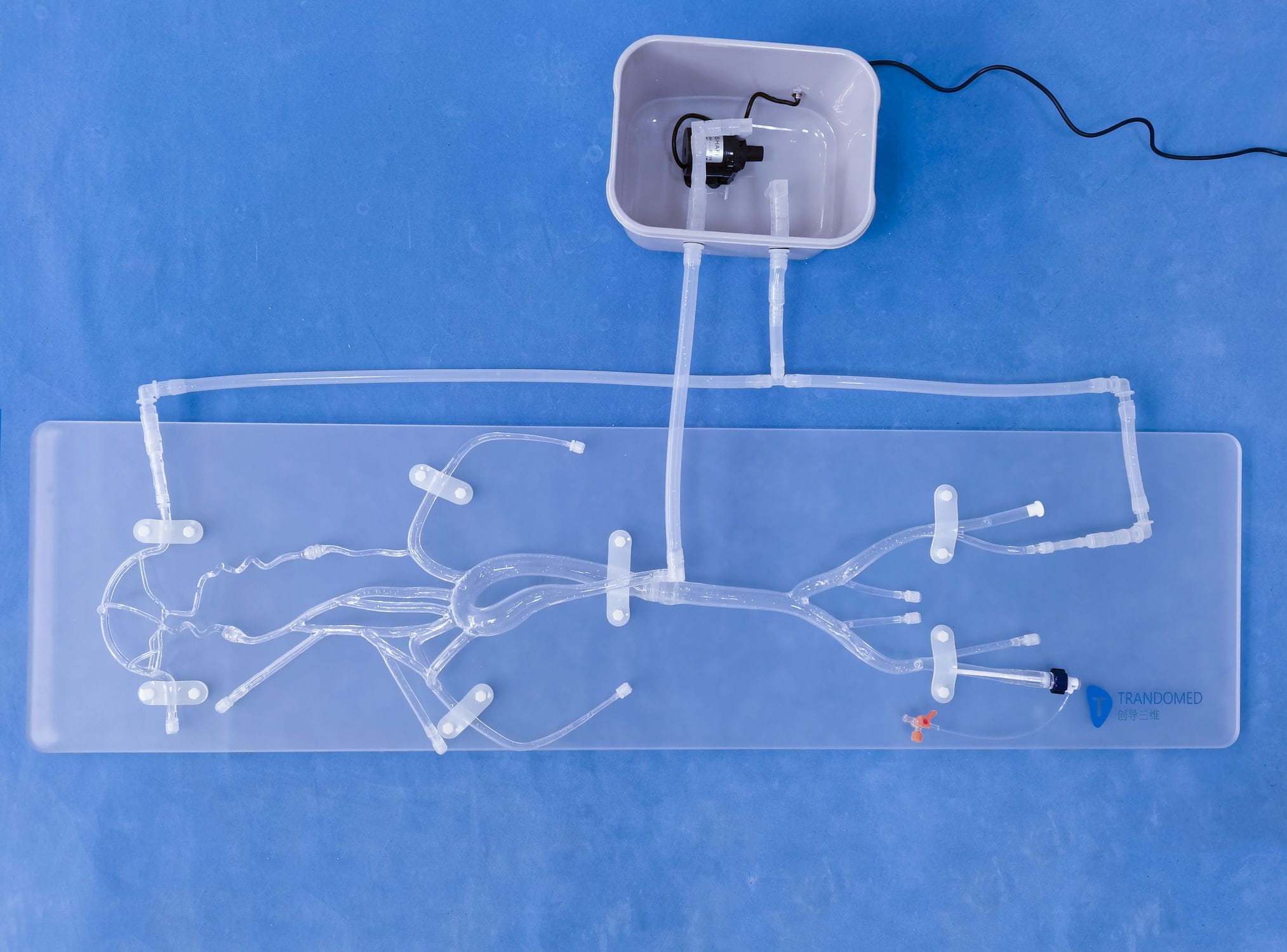 Modelo Vascular Intracraniano Sjx Trando D Medical Technology