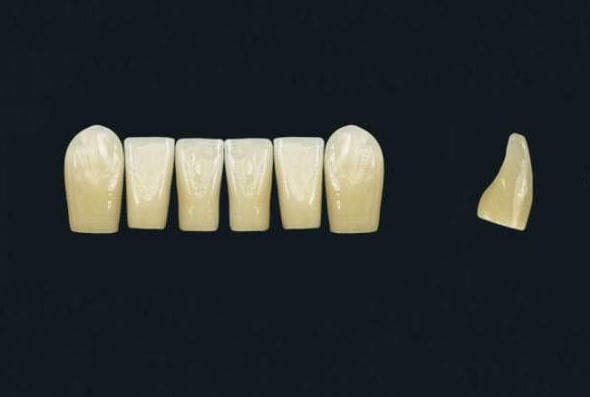 Prótese dentária em polímero acrílico TRIBOS 501 LV8 UK LJ C2 GEBDI