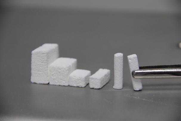Bonegraft Biomaterials Photo 9