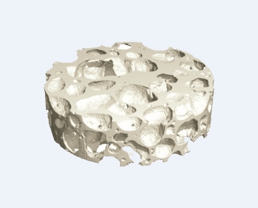 Bonegraft Biomaterials Photo 10