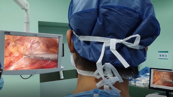 Miconvey Photo 2