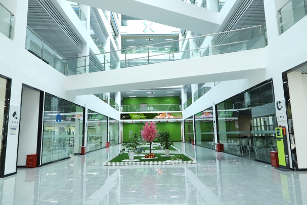 Shenzhen XFT Medical Limited Photo 1