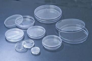 petri-dish