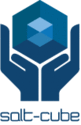 Salt-Cube - logo
