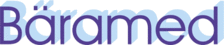 B&auml;ramed Instrumente - logo