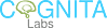 Cognita Labs, LLC