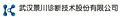 Wuhan King Diagnostic Technology Co. Ltd.
