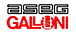 ASEG GALLONI
