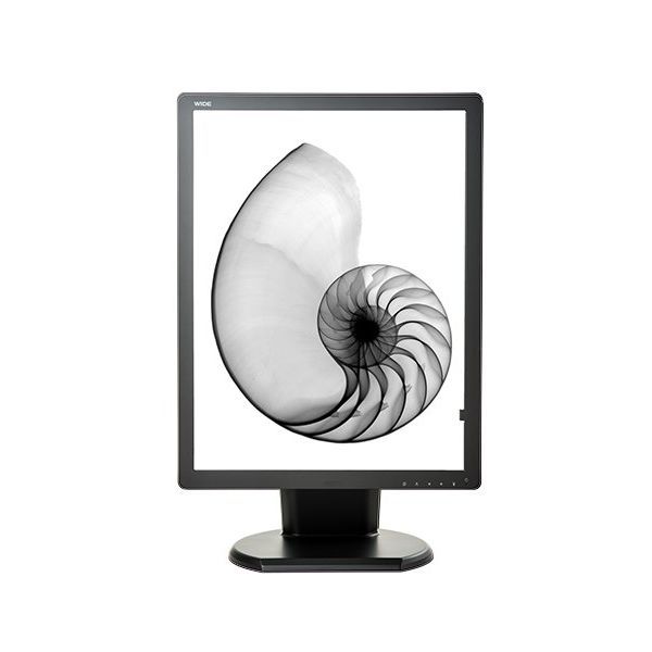 21.3in display - DBIMX50 - Double Black Imaging - LCD / LED / monochrome