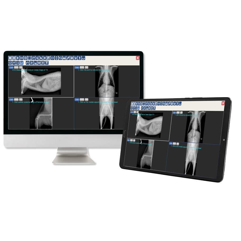Medical imaging PACS JPI Healthcare Solutions veterinary