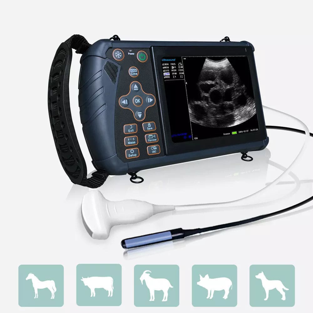 Portable Veterinary Ultrasound System - S1 - Viatom By Lepu ...