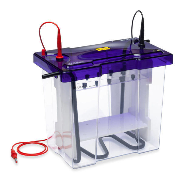 Capillary electrophoresis system - VS20DC - Cleaver Scientific - benchtop