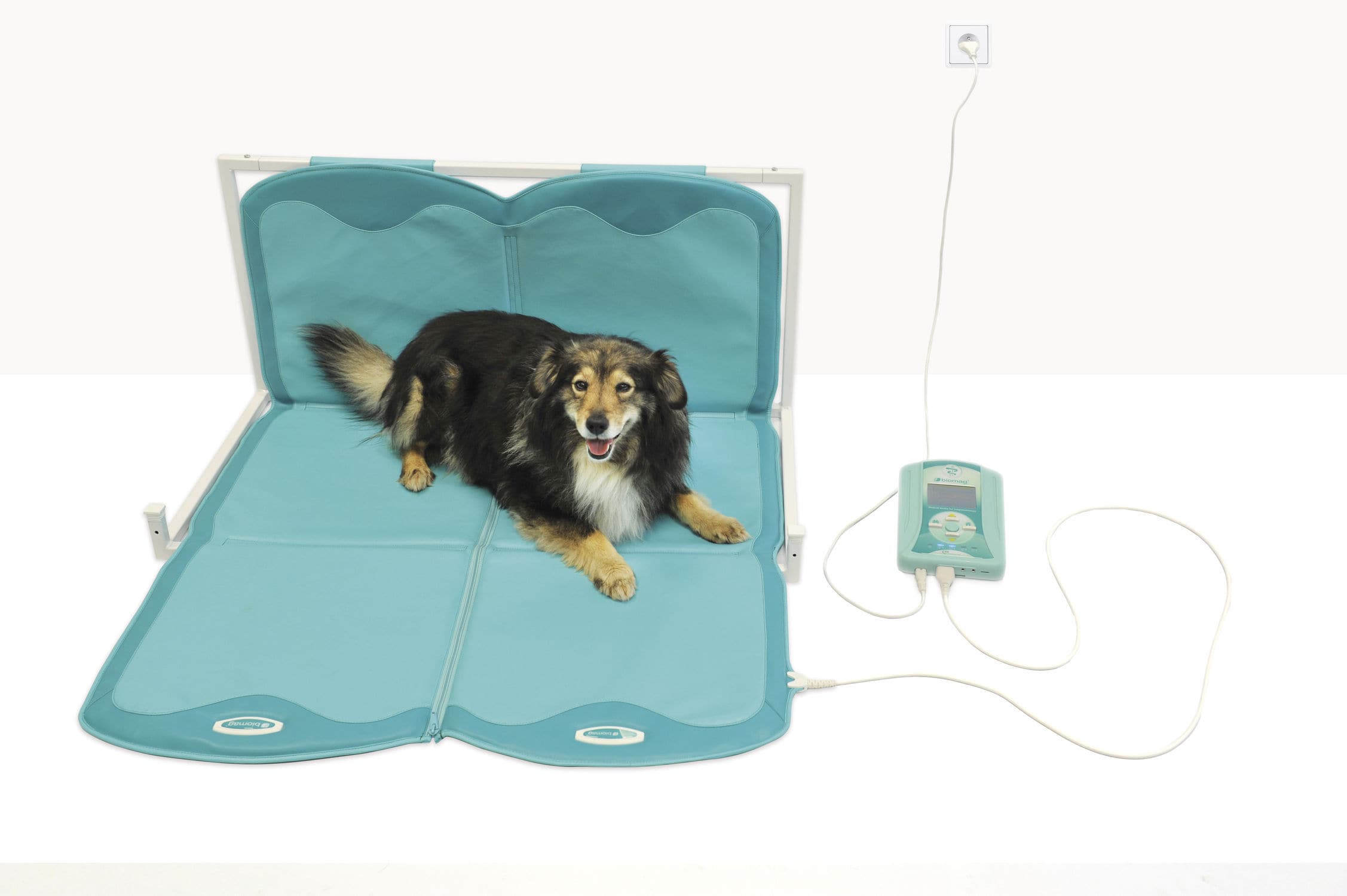 Veterinary therapy unit BIOMAG LUMINA VETERINARY Biomag