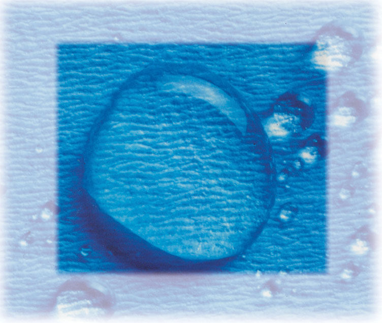 Disposable sterilization wrap CSR Crosstex International, Inc