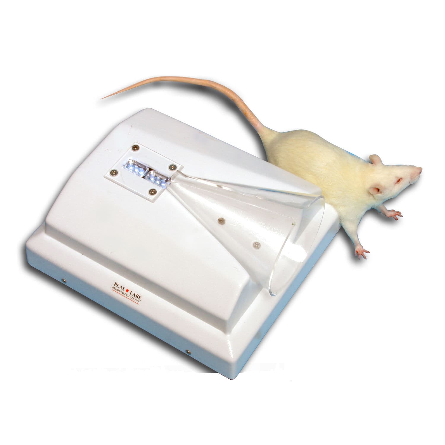 Animal research injection cone PlasLabs for rodents