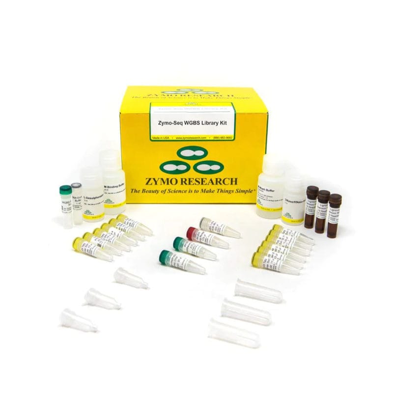 Solution reagent kit ZymoSeq WGBS Zymo Research for DNA library